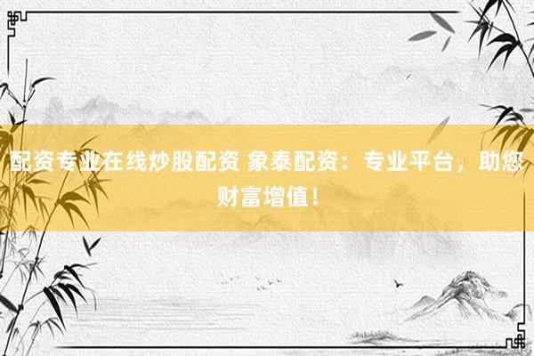 配资专业在线炒股配资 象泰配资：专业平台，助您财富增值！