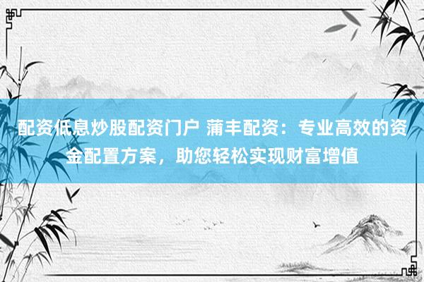 配资低息炒股配资门户 蒲丰配资：专业高效的资金配置方案，助您轻松实现财富增值