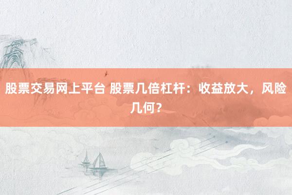 股票交易网上平台 股票几倍杠杆：收益放大，风险几何？