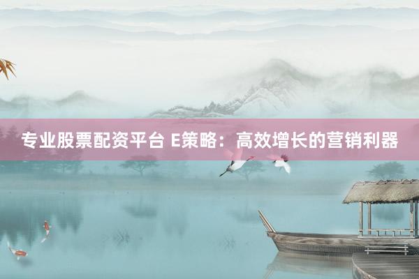 专业股票配资平台 E策略：高效增长的营销利器