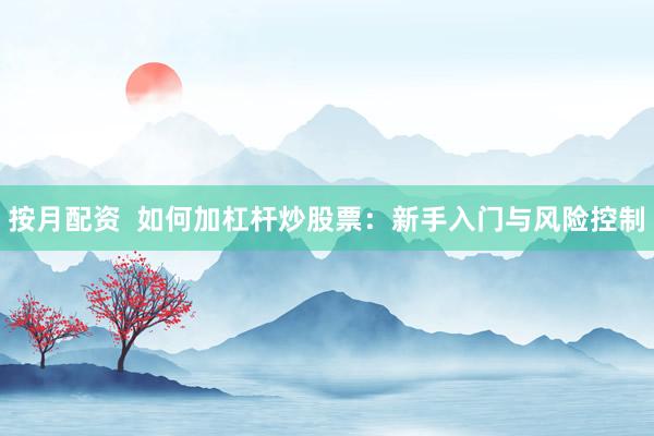 按月配资  如何加杠杆炒股票:新手入门与风险控制