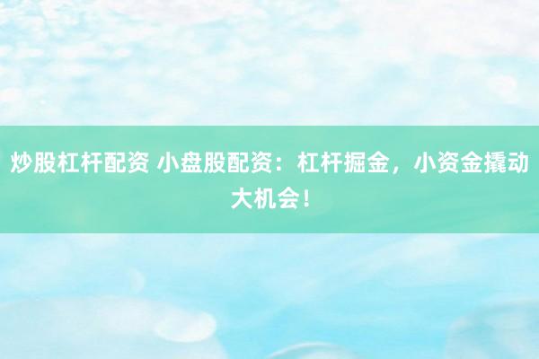 炒股杠杆配资 小盘股配资：杠杆掘金，小资金撬动大机会！