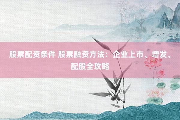股票配资条件 股票融资方法:企业上市、增发、配股全攻略