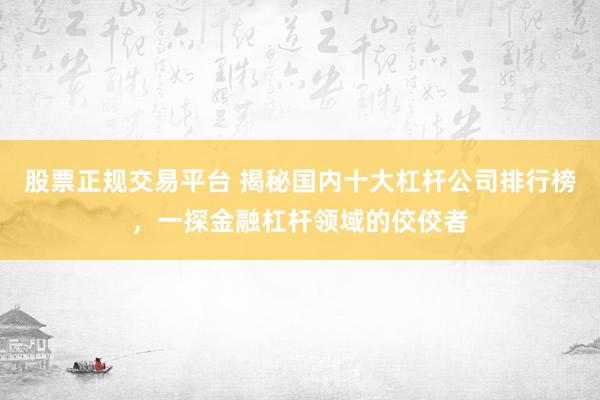 股票正规交易平台 揭秘国内十大杠杆公司排行榜，一探金融杠杆领域的佼佼者
